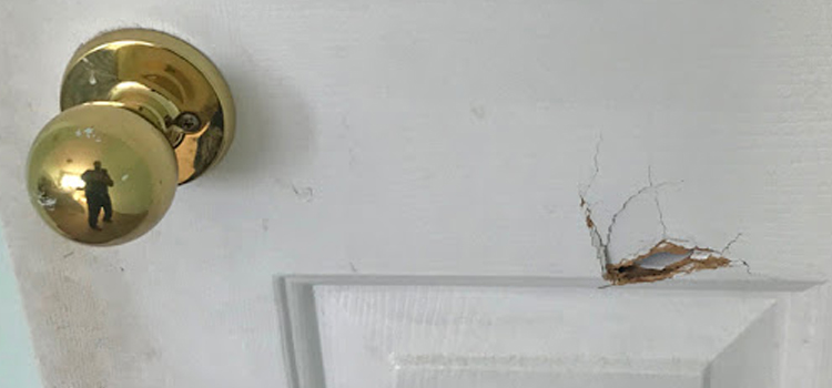 interior door hole repair Plumas Lake